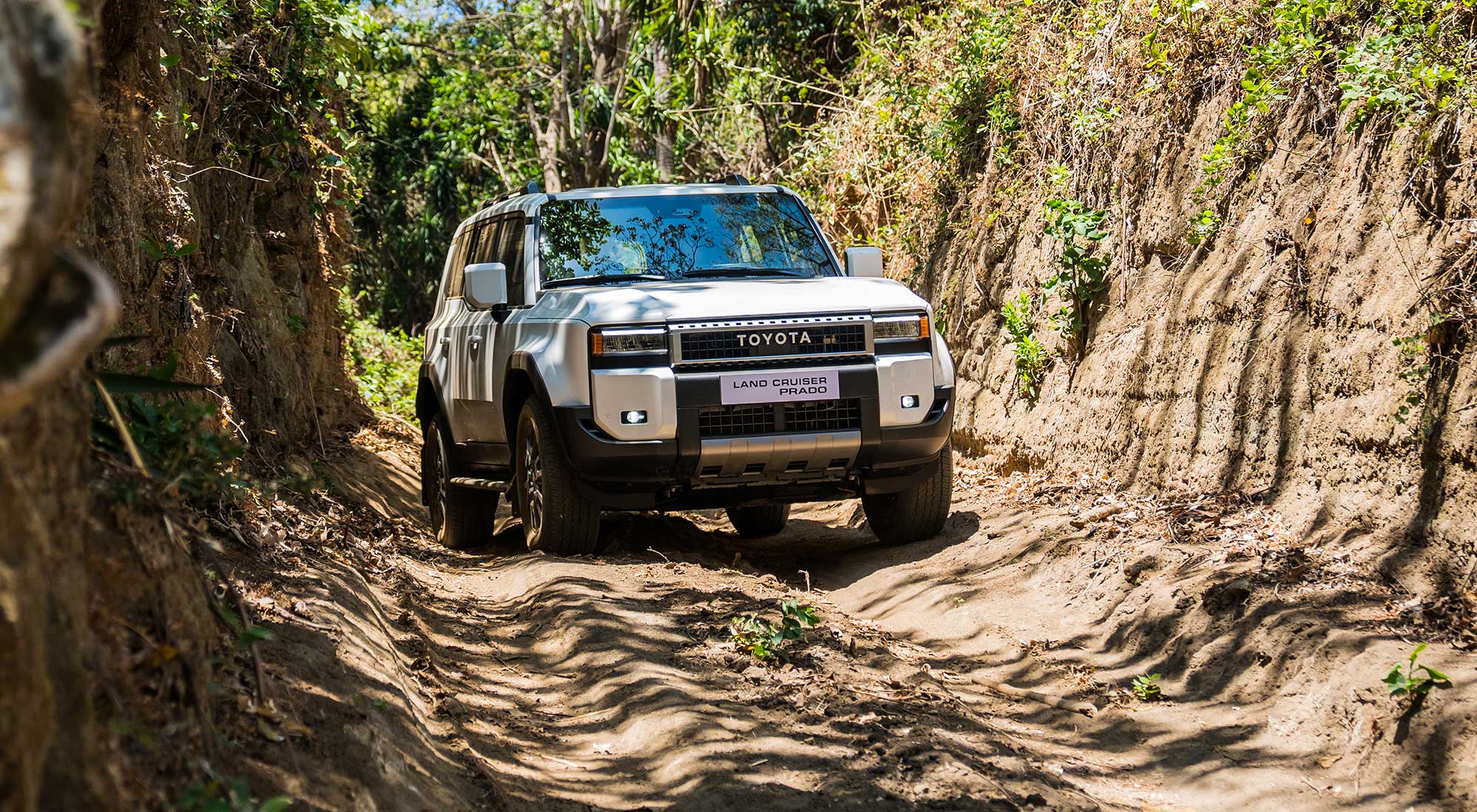 LCPRADO-CP-TOYOTA-32